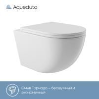 Aqueduto OVO Tornado Унитаз подвесной 525*360 безободковый, Tornado, сиденье c микролифтом, белый глянцевый