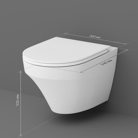 C501700WH Inspire Подвесной унитаз AM.PM FlashClean