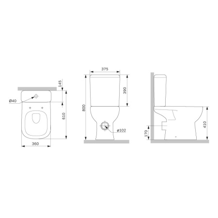 C85C8601SC Sunny Aquaspin Унитаз-компакт AM.PM с сиденьем микролифт
