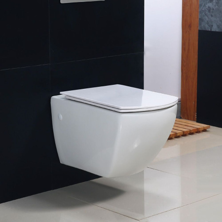 Унитаз подвесной безободковый BelBagno CARINA BB514CHR/BB5046SC