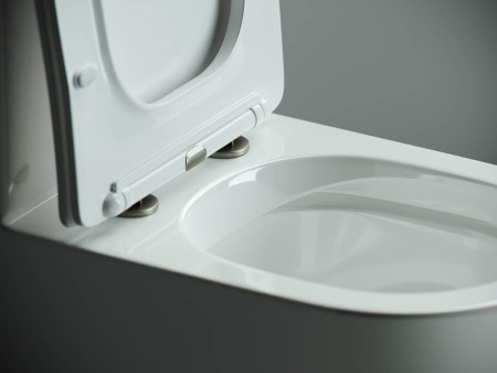 Напольный пристенный унитаз Ceramicanova Metropol Rimless, Белый, CN4001