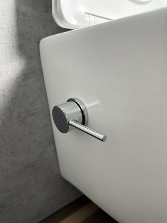 Подвесной унитаз RoxenBath Antares Bidet Tornado 530185-01XT Rimless Soft Close с функцией биде