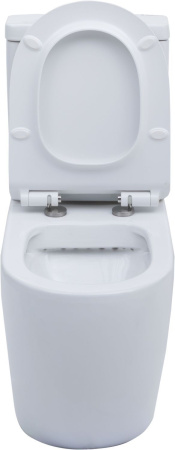 Чаша напольного унитаза Aquanet Rimless Cetus-C1 BL-102N-TPT