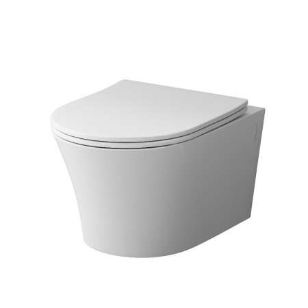 DX35C1700SC Skyline  Подвесной унитаз Damixa безободковый с сиденьем микролифт