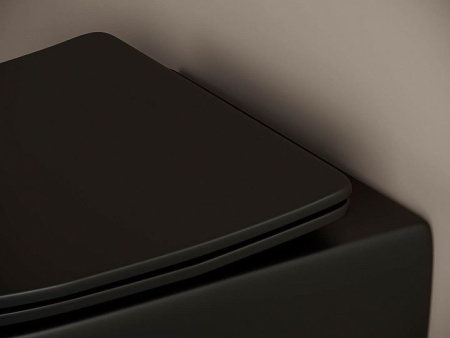 Подвесной унитаз Ceramicanova Metropol Rimless, глубокий смыв, с крепежом для полностью скрытого монтажа,  ультратонким сидением и крышкой с функцией плавного закрытия CN4002MB