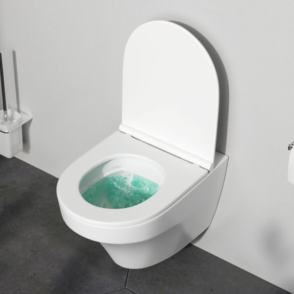 C501700WH Inspire Подвесной унитаз AM.PM FlashClean