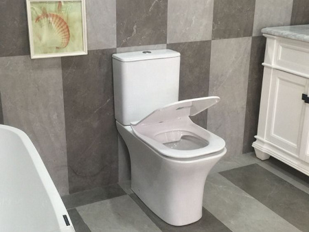 Унитаз VETTORE напольный безободковый Cerutti SPA CT7192