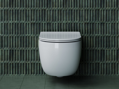 Подвесной унитаз Ceramicanova Long Rimless, глубокий смыв, с крепежом для полностью скрытого монтажа,  ультратонким сидением и крышкой с функцией плавного закрытия, дюропласт CN3015