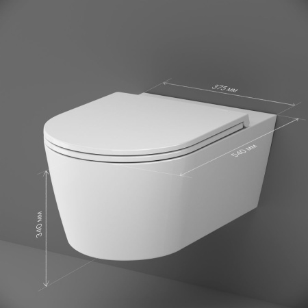 C8F1701SC Func Подвесной унитаз AM.PM 54 см FlashClean с сиденьем микролифт