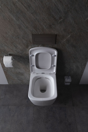 Чаша подвесного унитаза Allen Brau Liberty 4.33004.20 белый глянец