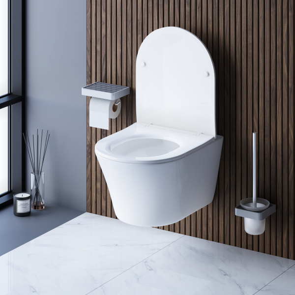DX35C1700SC Skyline  Подвесной унитаз Damixa безободковый с сиденьем микролифт