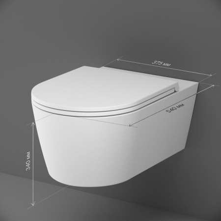 C8F1701MWSC Func Подвесной унитаз AM.PM 54 см FlashClean с сиденьем микролифт, бел мат