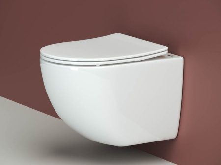 Подвесной унитаз Ceramicanova Forma Rimless, глубокий смыв, с крепежом для полностью скрытого монтажа,  ультратонким сидением и крышкой с функцией плавного закрытия CN3009
