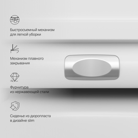 C701700SC Spirit V2.0 Подвесной унитаз AM.PM FlashClean с сиденьем микролифт
