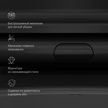 C8F1700MBSC Func Подвесной унитаз AM.PM 49 см FlashClean с сиденьем микролифт, черн мат