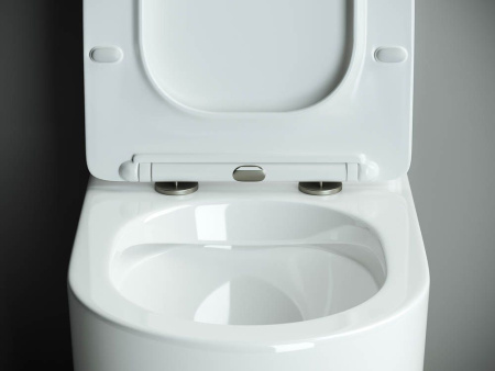 Напольный пристенный унитаз Ceramicanova Metropol Rimless, Белый, CN4001