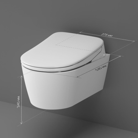 C8F1702SC Func Подвесной унитаз AM.PM FlashClean c эл крышкой-биде со скрытой подводкой