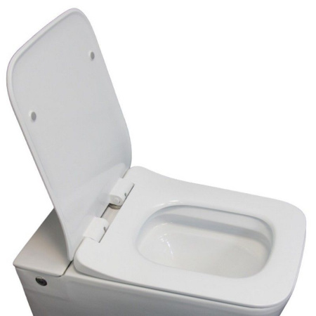Сидение DISGRAZIA, DISGRAZIA Aria дюропласт микролифтом и креплениями Cerutti SPA CT7849