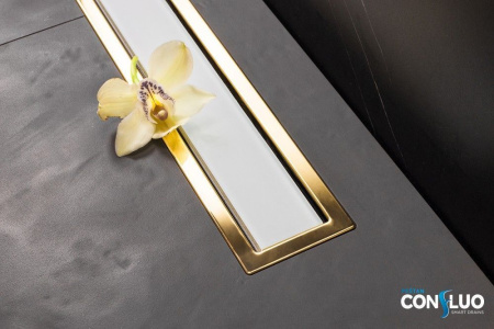 Душевой лоток Pestan Confluo Premium Line 450 White Glass Gold, 13100120