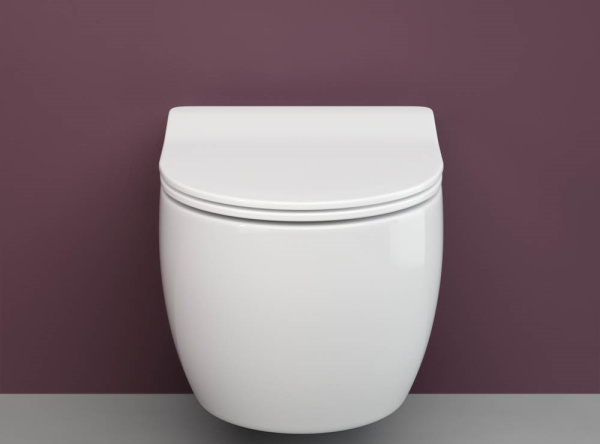 Подвесной унитаз Ceramicanova Play Rimless, глубокий смыв, с крепежом для полностью скрытого монтажа,  ультратонким сидением и крышкой с функцией плавного закрытия, дюропласт CN3001