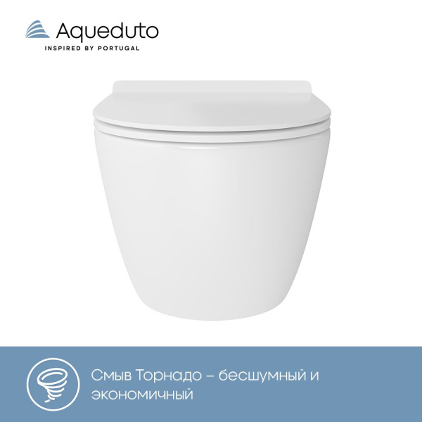 Aqueduto OVO Tornado Daily Унитаз подвесной 490*360 безободковый, Tornado, сиденье c микролифтом, белый глянцевый