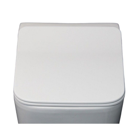 Сидение DISGRAZIA, DISGRAZIA Aria дюропласт микролифтом и креплениями Cerutti SPA CT7849