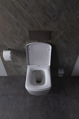 Чаша подвесного унитаза Allen Brau Liberty 4.33004.20 белый глянец