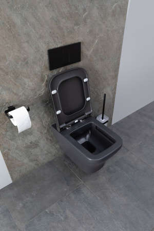 Чаша подвесного унитаза Allen Brau Infinity 4.21011.AN антрацит