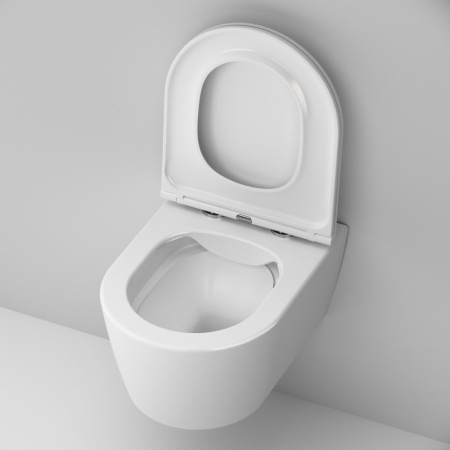 C8F1700SC Func Подвесной унитаз AM.PM 49 см FlashClean с сиденьем микролифт