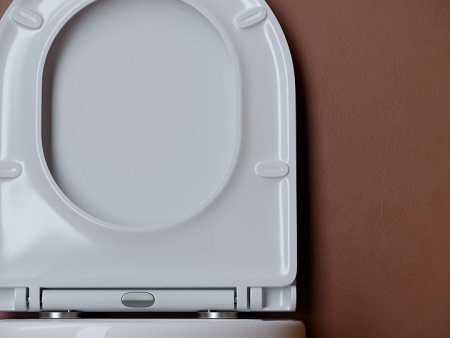 Подвесной унитаз Ceramicanova UP безободковый, смыв Торнадо, с крепежом для полностью скрытого монтажа, ультратонким сидением с функцией быстрого снятия и крышкой с функцией плавного закрытия, цвет белый CN4007