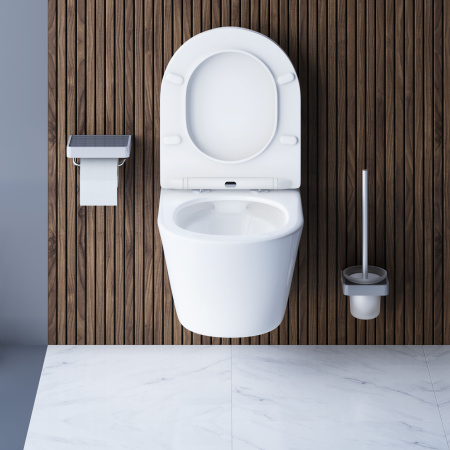 DX35C1700SC Skyline  Подвесной унитаз Damixa безободковый с сиденьем микролифт