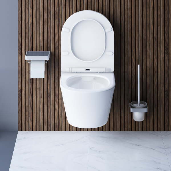 DX35C1700SC Skyline  Подвесной унитаз Damixa безободковый с сиденьем микролифт
