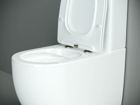 Напольный пристенный унитаз Ceramicanova Metropol Rimless, Белый, CN4001