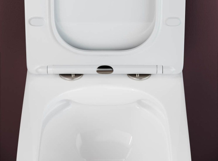 Подвесной унитаз Ceramicanova Metric Rimless, глубокий смыв, с крепежом для полностью скрытого монтажа,  ультратонким сидением и крышкой с функцией плавного закрытия, дюропласт CN3007