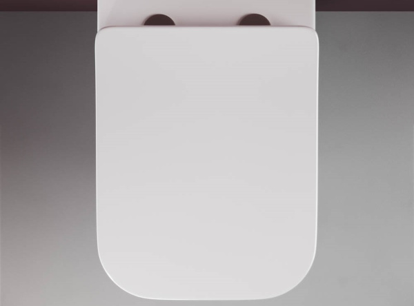 Подвесной унитаз Ceramicanova Metric Rimless, глубокий смыв, с крепежом для полностью скрытого монтажа,  ультратонким сидением и крышкой с функцией плавного закрытия, дюропласт CN3007