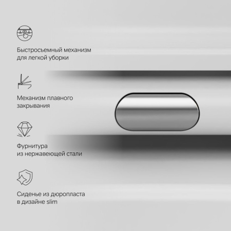 C8F1700SC Func Подвесной унитаз AM.PM 49 см FlashClean с сиденьем микролифт