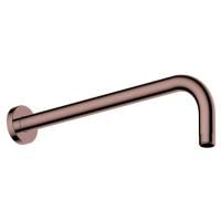 Настенный верхний излив для душа WasserKRAF Asphe 7700 A338