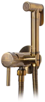 Смеситель встраиваемый с гигиеническим душем Grocenberg GB001 Бронза