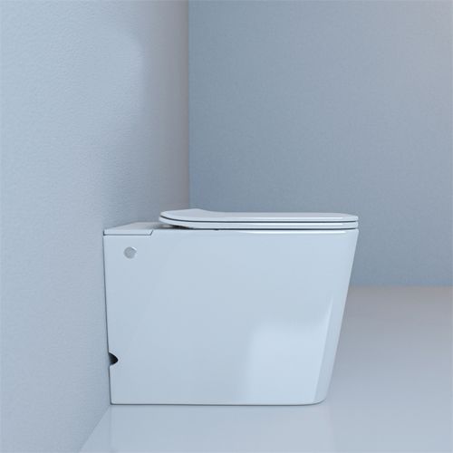 Унитаз DISGRAZIA Pulse приставной с функцией импульсного смыва Cerutti SPA CT7269