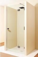 Душевая дверь Riho SZ Scandic NXT X104 100 R GX00702B2 черный