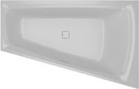 Акриловая ванна с усиленным каркасом и сифоном Riho Still Smart 170x110 L BR0400500000000