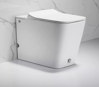 Унитаз DISGRAZIA Pulse приставной с функцией импульсного смыва Cerutti SPA CT7269