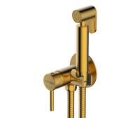 Встраиваемый смеситель для душа WasserKRAFT A70838 с гигиенической лейкой