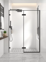 Душевая дверь распашная Veconi Premium Alassio B, 1500х2000, черный матовый, стекло прозрачное осветленное