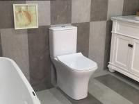 Унитаз VETTORE напольный безободковый Cerutti SPA CT7192