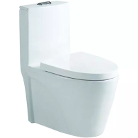 Унитаз напольный, безободковый, моноблок             (сиденье микролифт)  SantiLine SL-5012