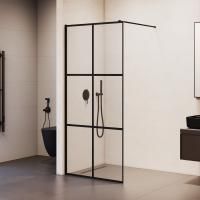 Душевая перегородка RGW WA-011B 1000