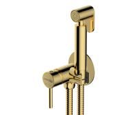 Встраиваемый смеситель для душа WasserKRAFT A70738 с гигиенической лейкой