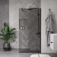 Душевая перегородка ограждение Reflexion RX200100TBL-15 Walk in 200x100см тонированное закаленное стекло 8мм черный профиль