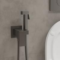 Смеситель встраиваемый RoxenBath Caspia 500960-GM с гигиеническим душем